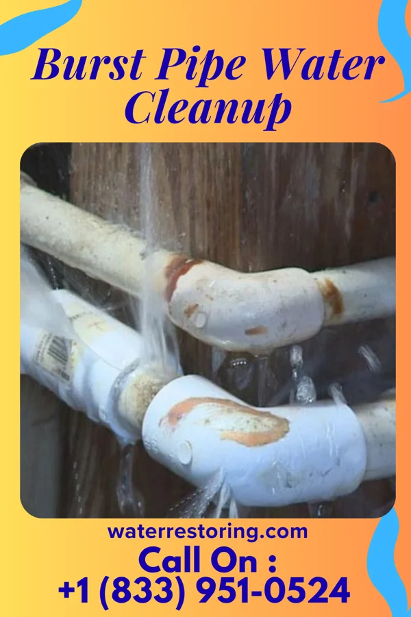 Burst Pipe Water Cleanup in Clemmons, NC