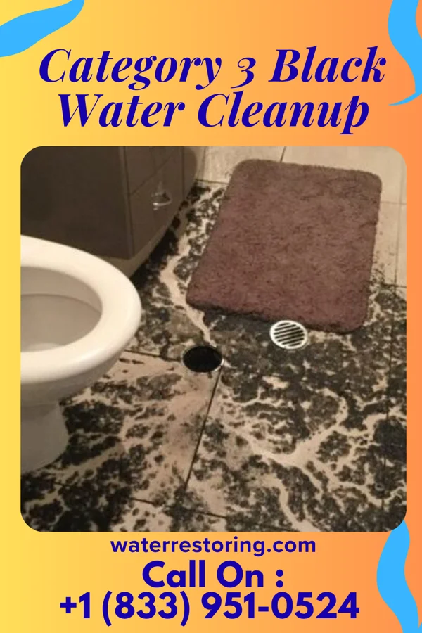 Category 3 Black Water Cleanup in Clemmons, NC
