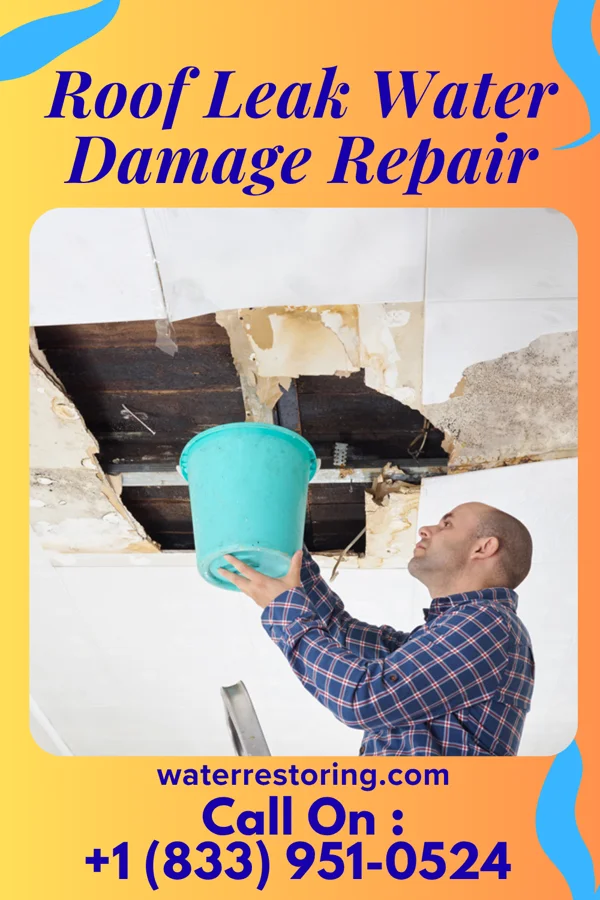 Roof Leak Water Damage Repair in Clemmons, NC