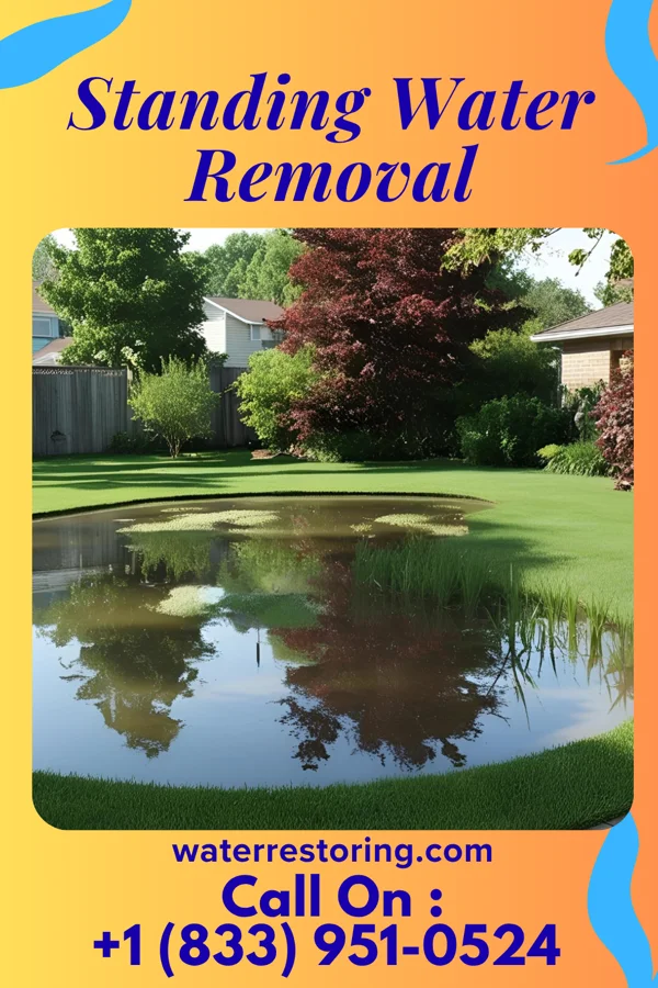 Standing Water Removal in Clemmons, NC